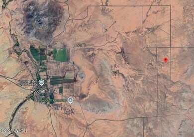 0 Power Line Rd unit 255565, Woodruff, AZ 85942 - photo 3