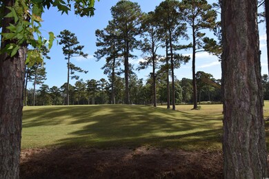 View of property's community featuring a yard