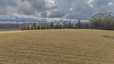 0 Feathers Chapel Dr unit 10210471, Somerville, TN 38068 - photo 4