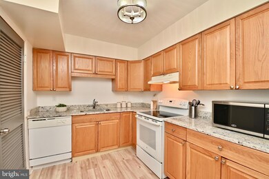3819 Burlingame Place unit B, Alexandria, VA 22309 - photo 5