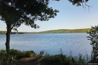 2 Lena Rd, Forestburgh, NY - photo 6