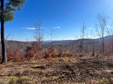 Mtn Views 0463 (1)