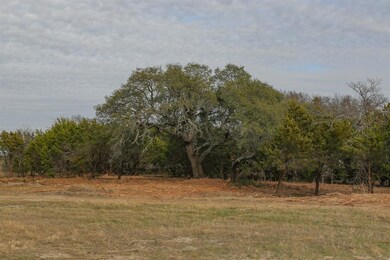 113 E Stagecoach Trail, Weatherford, TX 76085 - photo 4