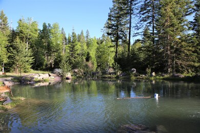 Pond