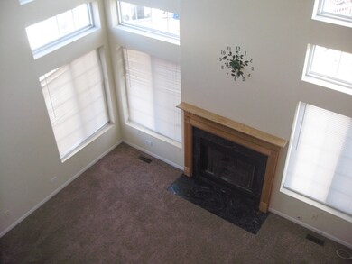 982 Mesa Dr, Lake In the Hills, IL 60156 - photo 7