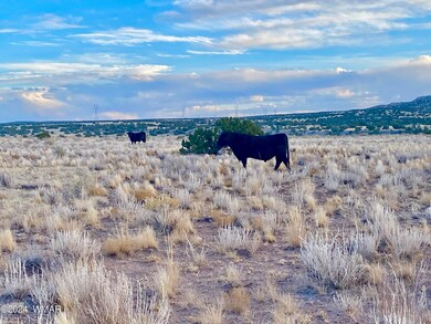 IMG_8001