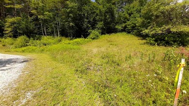 0 Preedom Hill Rd S unit 7 4806941, Ludlow, VT 05149 - photo 3