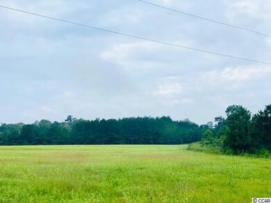 TBD W Brownway Cir, Conway, SC 29527 - photo 2