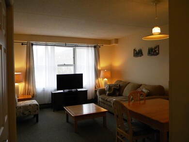 28 Packard Rd unit 411, Waterville Valley, NH 03215 - photo 3