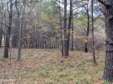 33 Pearl Harbor Dr, Seabrook, SC 29940 - photo 2