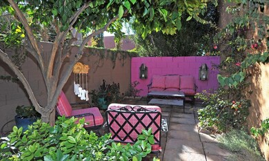 Backyard Oasis