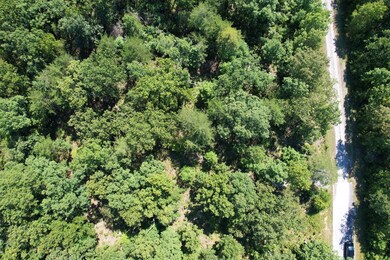 5-web-or-mls-DJI_0019