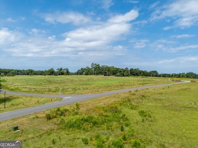 0 Cobbham Rd unit 10601577, Thomson, GA 30824 - photo 5