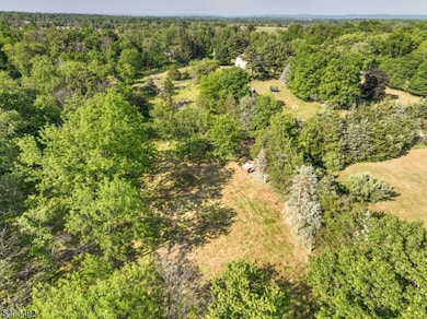 83 Readington Rd, Whitehouse Station, NJ 08889 - photo 4