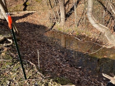 245 Taylor Ln, Stewart, TN 37175 - photo 4