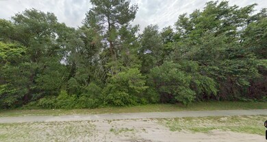 0 SW Marion Oaks Course unit R11031541, Ocala, FL 34473 - photo 2