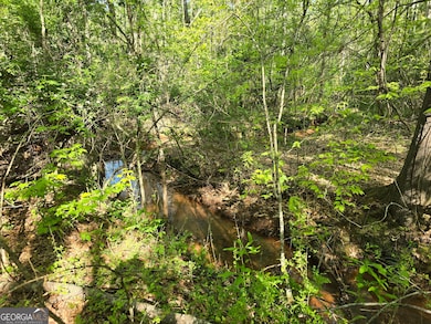 LOT 19 Smith Rd, Thomaston, GA 30286 - photo 7