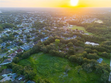 6327 Gant Rd, Tampa, FL 33625 - photo 4