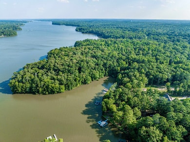 11.48 +/- ACRES Grayson Pointe Dr, Buckhead, GA 30625 - photo 6