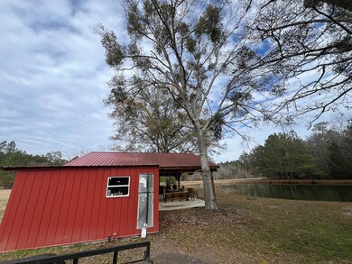 900 Benton Rd, Ochlocknee, GA 31773 - photo 5