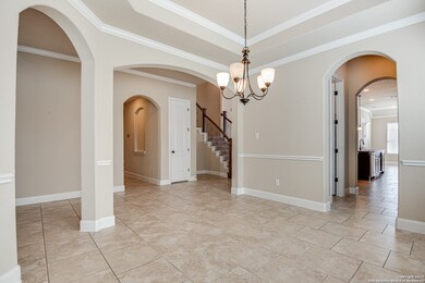 25738 Berberis, San Antonio, TX 78261 - photo 7