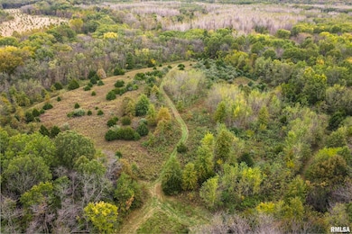 3070 E County Road 900, Plymouth, IL 62367 - photo 2
