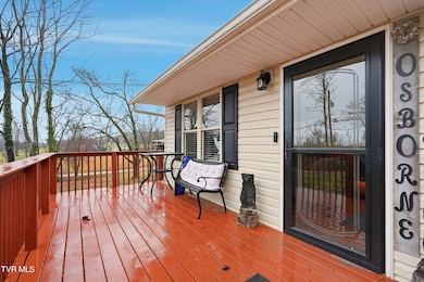 101 Buncomb Hill Rd, Jonesborough, TN 37659 - photo 5