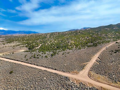 0 Slegers Rd unit 25448913, Fort Garland, CO 81133 - photo 2