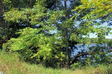 00 Cedar St, Central Lake, MI 49622 - photo 2