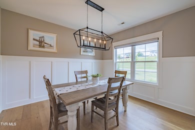 656 Uncle Buddys Way, Jonesborough, TN 37659 - photo 4