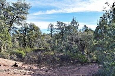 Lot 48 of Manzanita Hills (3)