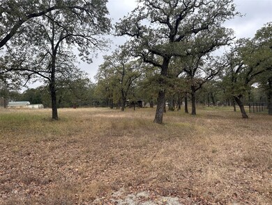 01 Lynch Bend Rd, Springtown, TX 76082 - photo 4