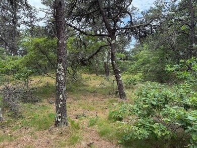 6 Long Nook Ln, Truro, MA 02652 - photo 4