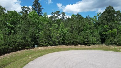 0 Hazy Landing Ct unit 93482164, Spring, TX 77386 - photo 4