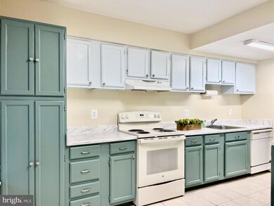 6431 Old Scotts Ct, Springfield, VA 22152 - photo 5