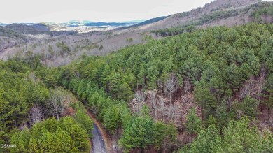 Harlan Mtn