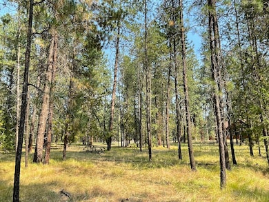 View from the road