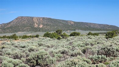 1691 Luke Rd, Fort Garland, CO 81133 - photo 3