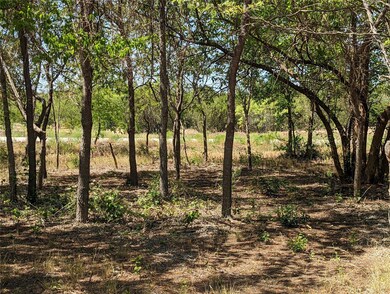 1053 Preserve St, Weatherford, TX 76085 - photo 4