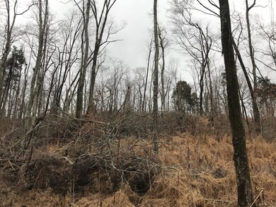 2 Alf Harris Rd, Prospect, TN 38477 - photo 3