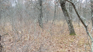 Lot 3 300th St, Sterling Township, WI 54024 - photo 6