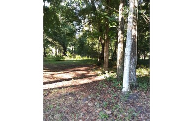 LOT39 Santa fe Dr, Fort White, FL 32038 - photo 3