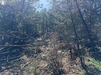 TR-121 19th Trail, Cotopaxi, CO 81223 - photo 2