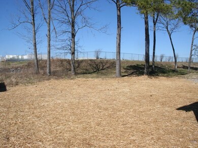 Nice level backyard.