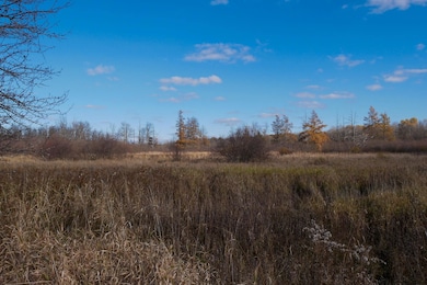 +/-23 Acres Tower Ave, Medford, WI 54451 - photo 6