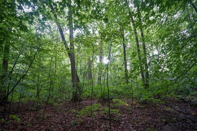 0 Duncanson Rd unit 24555971, Whiteoak Township, OH 45171 - photo 7