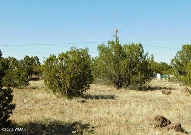 8548 Quail Run Dr Show Low, AZ 85901