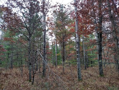 VL Par 3 S Forman Rd, Baldwin, MI 49304 - photo 7