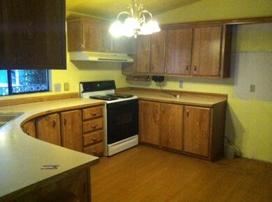 photo7