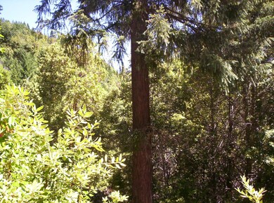 French Peak 039 (2)